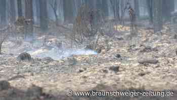 Waldbrand unter Kontrolle - Suche nach Glutnestern