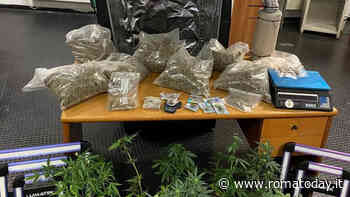 La serra di marijuana con lampade a led e sistema di areazione