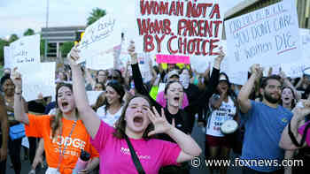 Protests erupt across US after Supreme Court reverses Roe v. Wade