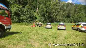 Person bei Waldarbeiten verletzt - mit Rettungshubschrauber in Klinik geflogen
