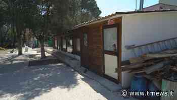 A Brindisi prosegue la devastazione dei parchi cittadini. ma di controlli neanche l'ombra - TeleRama News