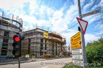 Pläne in Hemmingen: Bauen im Vogelgebiet – ja, aber wie? - Leonberger Kreiszeitung - Leonberger Kreiszeitung