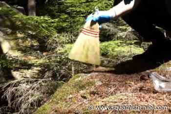 What to know if you rock climb - Squamish Chief