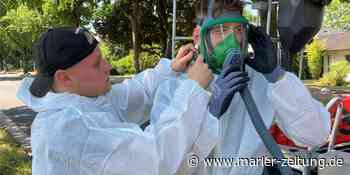 MZ+ Gasflamme in Marler Baumkronen - Kampf gegen den Eichenprozessionsspinner - Marler Zeitung