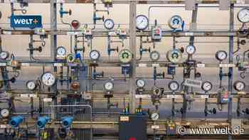 „Risikogruppe Ostsee“ – So schmerzhaft kann die Gaskrise für Deutschland noch werden