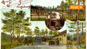 Der Haunstetter Schießplatz wandelt sich zum Biotop