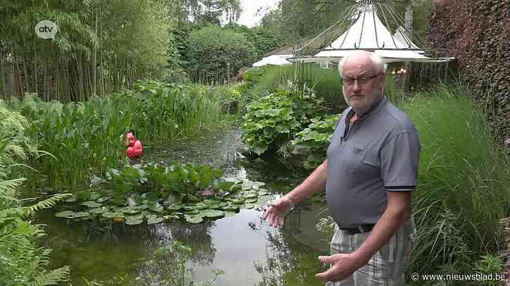 Ontdek de tuin van Willy in Sint-Job-in-’t-Goor tijdens ‘Open Tuinen’: “Dit is mijn paradijs”