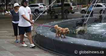 GTA, much of southern Ontario placed under special air quality statement