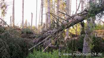 Schwere Sturmschäden im Wald zwischen Lauterbach und Thansau