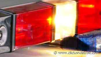 Michigan police: Man shot during traffic stop suspected of impairment - WDIV ClickOnDetroit