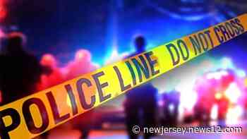 Police: Man fatally shot on Carroll Street in Brooklyn - News 12 New Jersey