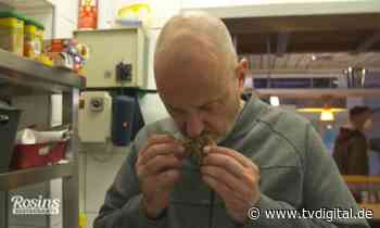 „Rosins Restaurants“: Frank spuckt Ekel-Frikadelle aus - TV Digital