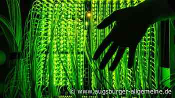 Cloudflare: Störung legt Internet-Websites, Apps & Online-Games lahm - Augsburger Allgemeine