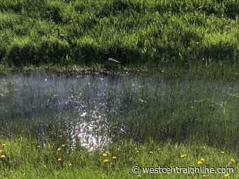 Prairie Watersheds Climate Program launched - WestCentralOnline.com