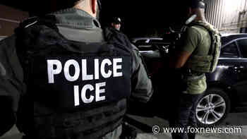 DHS says it will abide by court order blocking Biden's ICE restrictions as appeal proceeds