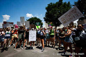 U.S. abortion restrictions represent ‘declining democracy,’ claims WaPo correspondent before being skewered