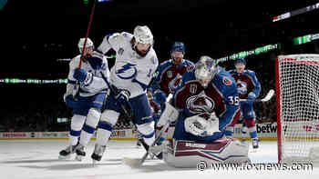 Avalanche fan banned from home games after spreading friend's ashes on ice