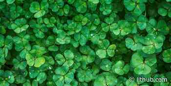 How A Phantasmagorical Poem By Charles Darwin’s Grandfather First Set Down In Words The Idea Of Photosynthesis