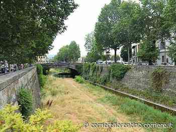 Siccità Toscana, il Mugnone diventa un prato. A Firenze tregua dal caldo - Corriere Fiorentino