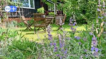 Rathenow: Petra Skilandat wirbt für die Aktion „Offene Gärten“ - Märkische Allgemeine Zeitung