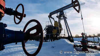 Preisdeckel für russisches Öl wäre schwer umsetzbar