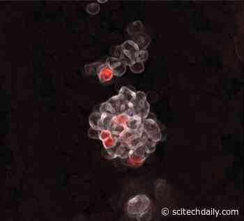 The Origins of Our Blood May Not Be What We Thought