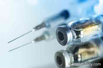 Flu Vaccination Linked to 40% Lower Risk of Alzheimer’s Disease