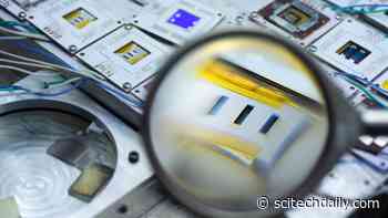 The Michael Jordan of Solar Cells: New Technology Proves Its Lasting Power