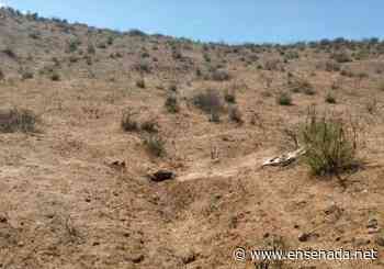 Hallan osamenta semienterrada en San Vicente - Ensenada.net