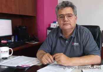 Consultarán como probarán que un candidato indígena realmente lo sea - Ensenada.net