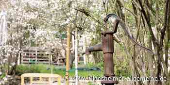 Hereinspaziert: Familien öffnen ihre Gärten in Hildesheim und der Region - www.hildesheimer-allgemeine.de