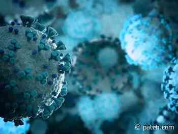 COVID-19 Spread Back To Low Risk In Rhode Island: CDC - Patch