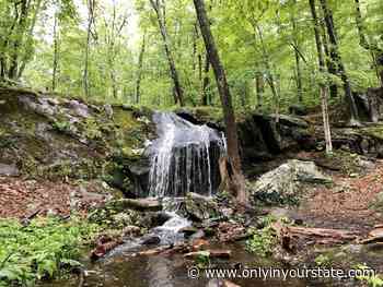 Take This Easy Trail To An Amazing Waterfall In Rhode Island - Only In Your State