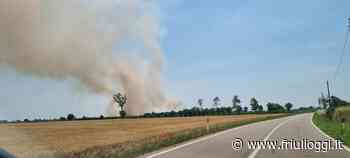 Allarme nelle campagne di Basiliano, le fiamme bruciano un campo d'orzo - Friuli Oggi