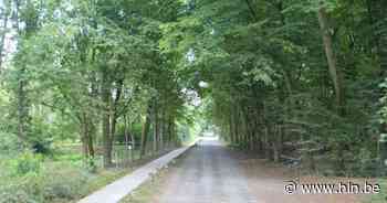 Verkeersknip moet sluip- en landbouwverkeer weren uit Steenhoven - Het Laatste Nieuws