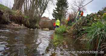 Gewässerschau: Wasserbehörde und Roetgen im Clinch um einen Termin - Aachener Nachrichten