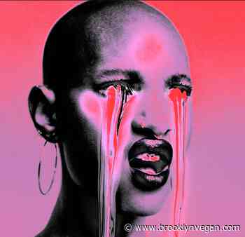 New Songs: WILLOW, Avril Lavigne (Adele), Lil Nas X & more - Brooklyn Vegan