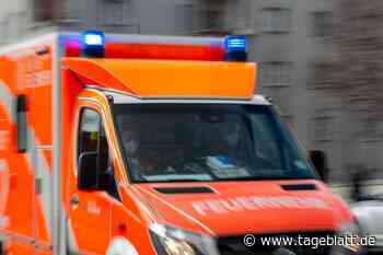 Rettungswagen prallt gegen Baum: Zwei Schwerverletzte im Landkreis Cuxhaven - Blaulicht - Tageblatt-online