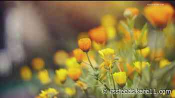 Grow with KARE: Flowers for the veggie garden