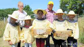 Stiebritzer Schüler sind als Bienenzüchter aktiv - Ostthüringer Zeitung