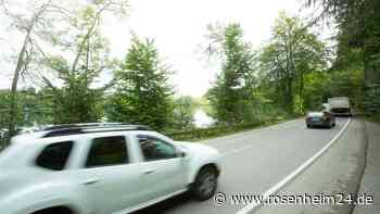 So wollen die Rimstinger Grünen für einen Radweg zum Langbürgener See kämpfen