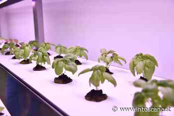 Agricoltura e nuove tecnologie, il Santa Chiara di Siena scelto come centro di ricerca nazionale - intoscana - InToscana