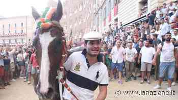 Fuori Remorex, Tale e quale, Rocco Nice. Niente Palio, Siena si spacca sulle strategie - LA NAZIONE