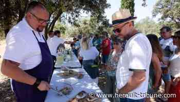 Frontignan : l'été des saveurs, entre mets et vins - Hérault Tribune - Hérault Tribune