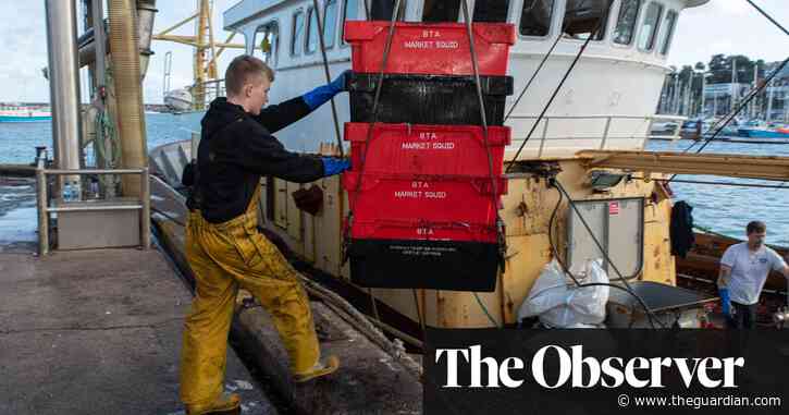 Rising diesel prices push UKs fishing industry to the brink