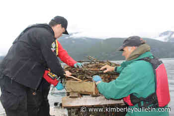Osprey nest rescued from high water in Kootenay Lake – Kimberley Daily Bulletin - Kimberley Bulletin