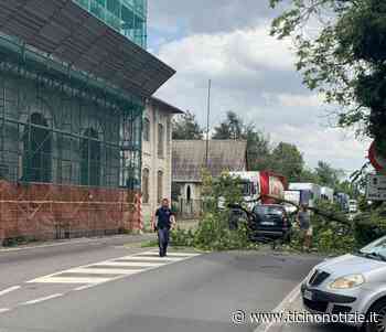 Magenta: vento abbatte le piante lungo la statale di Pontenuovo che finiscono su un'auto in transito - Ticino Notizie