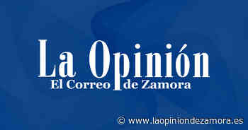 50 años de espectáculo flamenco en Zamora - La Opinión de Zamora