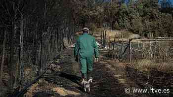 Incendios forestales en Zamora y Navarra, ¿y ahora qué? - RTVE