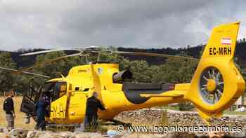 Así fue el despliegue en el incendio de Zamora y así los de Cataluña y Navarra - La Opinión de Zamora